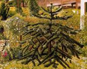 斯坦利 斯宾塞 : The Monkey Puzzle - Whitehouse - Northern Ireland